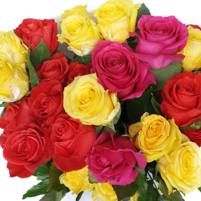 Half Dozen Roses in Seasonal Colours