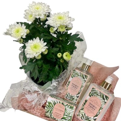 Plant gift pack