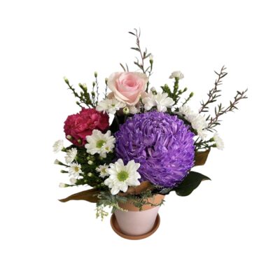 A Mini Pot for Mum